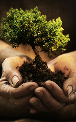 environment